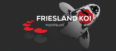 Frieslandkoi Fochteloo